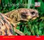 La Tortue D'Hermann - Preview