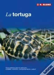 Capa do artigo La Tortuga