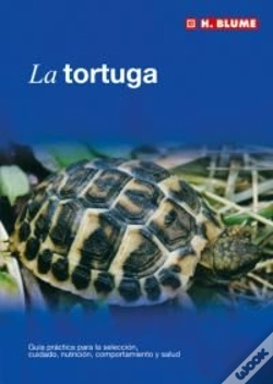 Capa do artigo La Tortuga