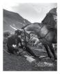 La Transhumance De Marcel Coen : Du Pays D'Arles Au Mercantour - Preview