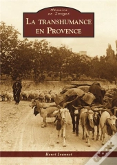 La Transhumance En Provence