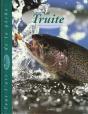 La Truite - Preview