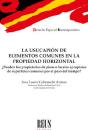 La Usucapion De Elementos Comunes En La Propiedad Horizontal - Preview