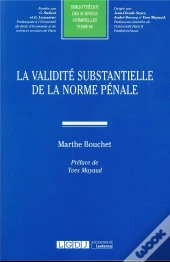 La Validité Substantielle De La Norme Pénale