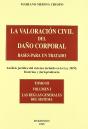 La Valoración Civil Del Daño Corporal. Bases Para Un Tratado - Preview