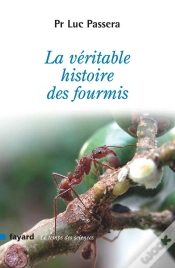 Capa do artigo La Véritable Histoire Des Fourmis