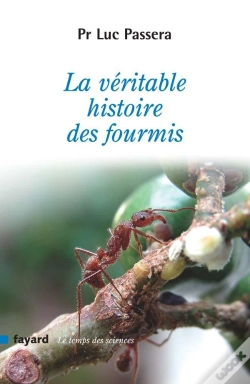Capa do artigo La Véritable Histoire Des Fourmis