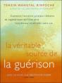 La Véritable Source De La Guérison - Preview