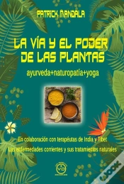 Capa do artigo La Via Y El Poder De Las Plantas