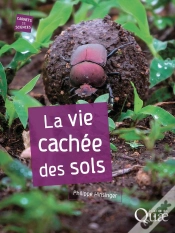 Capa do artigo La Vie Cachée Des Sols