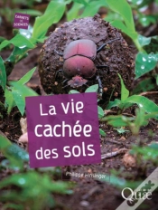 Capa do artigo La Vie Cachée Des Sols