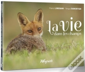Capa do artigo La Vie Dans Les Champs