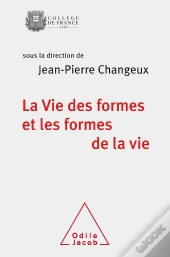 La Vie Des Formes Et Les Formes De La Vie