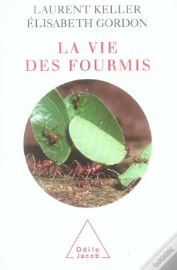 Capa do artigo La Vie Des Fourmis