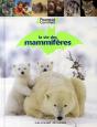 La Vie Des Mammifères - Preview