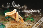 Capa do artigo La Vie Rêvée Des Champignons