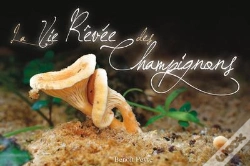 Capa do artigo La Vie Rêvée Des Champignons