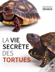 Capa do artigo La Vie Secrète Des Tortues