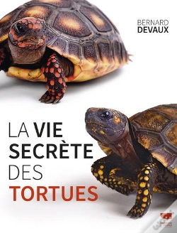 Capa do artigo La Vie Secrète Des Tortues