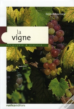 Capa do artigo La Vigne