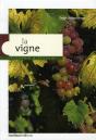 La Vigne - Preview