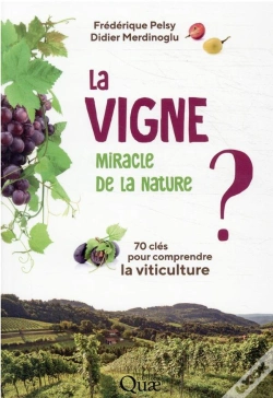 Capa do artigo La Vigne, Miracle De La Nature ? 70 Clés Pour Comprendre La Viticulture