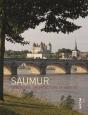 La Ville De Saumur - Preview