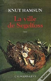 La Ville De Segelfoss