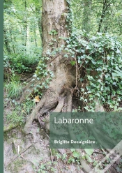 Capa do artigo Labaronne
