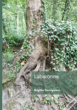 Capa do artigo Labaronne