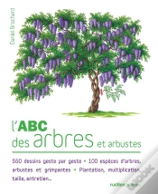 Capa do artigo L