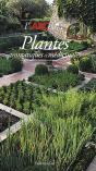 L'Abcdaire Des Plantes Aromatiques Et Médicinales - Preview