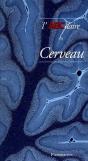 L'Abcdaire Du Cerveau - Preview