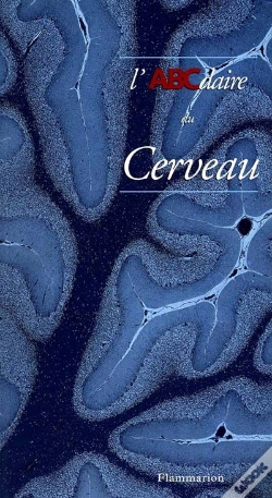 Capa do artigo L'Abcdaire Du Cerveau
