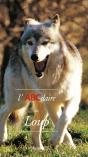 L'Abcdaire Du Loup - Preview
