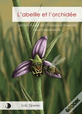 L'Abeille Et L'Orchidée