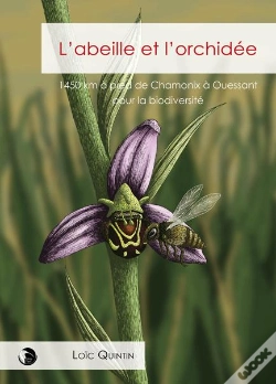 Capa do artigo L'Abeille Et L'Orchidée