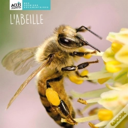 Capa do artigo L'Abeille