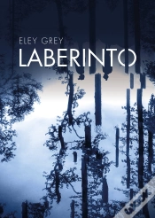 Capa do artigo Laberinto