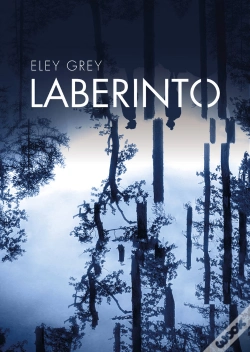 Capa do artigo Laberinto