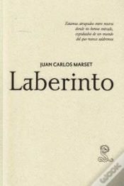 Capa do artigo Laberinto