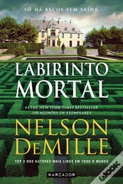 Capa do artigo Labirinto Mortal