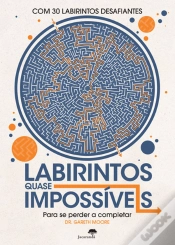 Capa do artigo Labirintos Quase Impossíveis