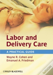 Capa do artigo Labor And Delivery Care