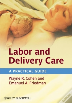 Capa do artigo Labor And Delivery Care