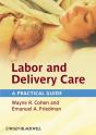 Labor And Delivery Care - Preview