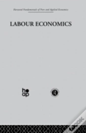 Capa do artigo Labor Economics