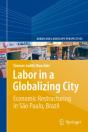 Labor In A Globalizing City - Preview