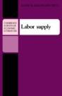 Labor Supply - Preview
