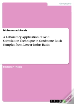 Capa do artigo Laboratory Application Of Acid Stimulation Technique In Sandstone Rock Samples From Lower Indus Basin